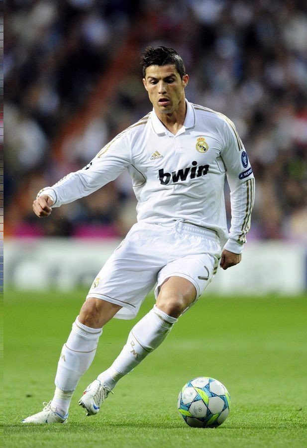 新的高度 新的高度